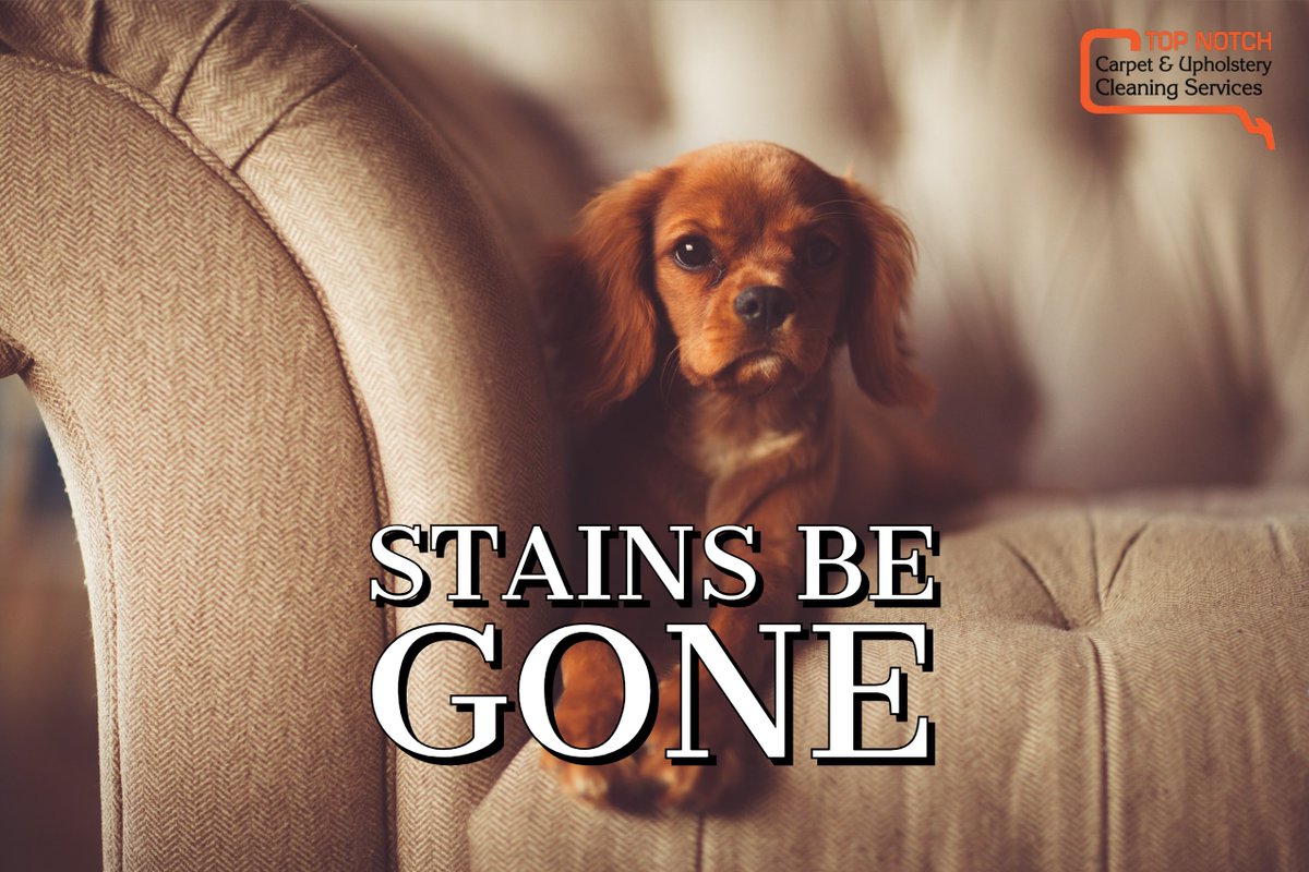 Top Notch Carpet & Upholstery Cleaning Services (TNCarpet) Twitter