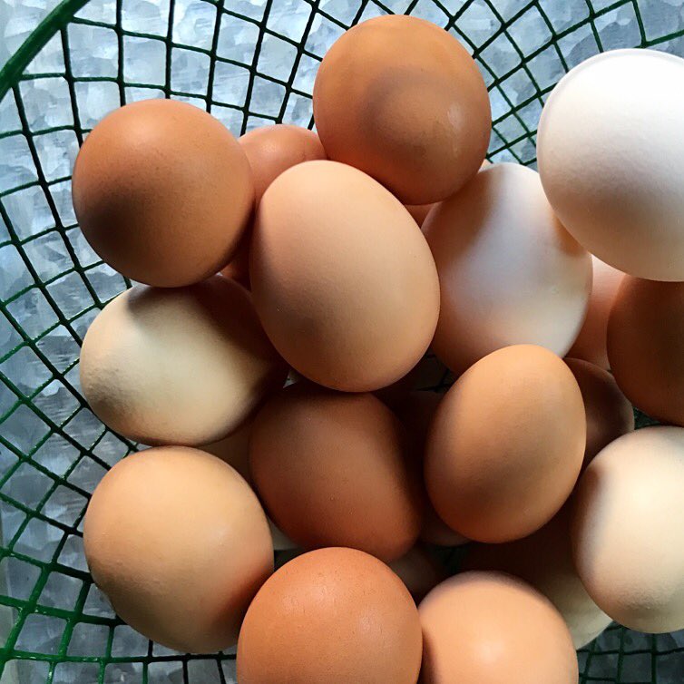 FullLotusFarm's tweet photo. Delicious farm fresh eggs 🍳

#pasturedpoultry #organicallyfed #chickens #farmtotable #local #farming #sustainable #regenerativeagriculture #fulllotusfarm #farm #fresh #eggs #farmersmarket #healthyliving https://t.co/y7a4RA12qk