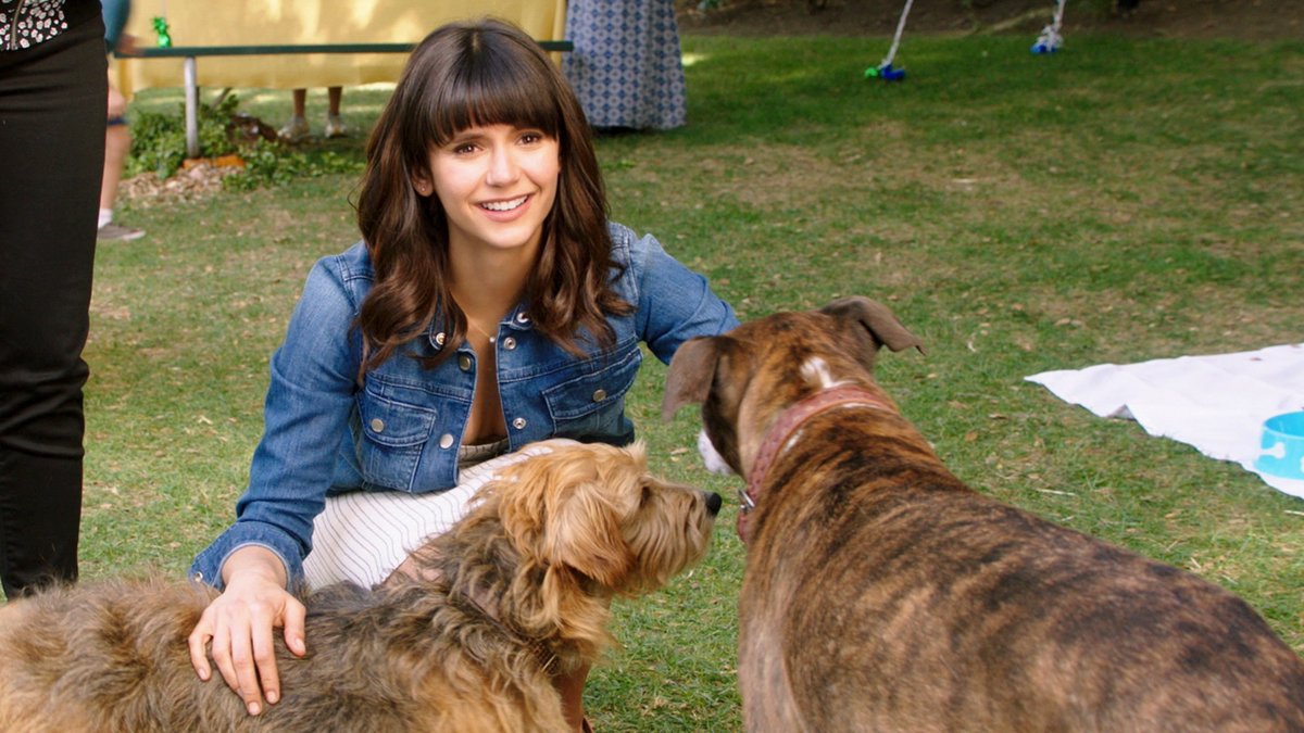 ChristinaRadish's tweet photo. .@NinaDobrev on #DogDays, her dog Maverick, her upcoming CBS comedy series #Fam, her raunchy rom-com script, xXx 4 & more: https://t.co/THPqdm62nA @DogDaysTheFilm #LDEntertainmentPartner @FamCBS #VampireDiaries https://t.co/xkb5QeoAWi