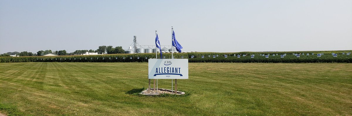 RRademac's tweet photo. When you think about quitting, think about why you started. Examining the gdu's of our #AllegiantSeed lineup #HelpingOurOwnersGrow ...300 cobs at a time in CHS Dakota Plains Ag @CHSInterns https://t.co/gTeNohnkiT