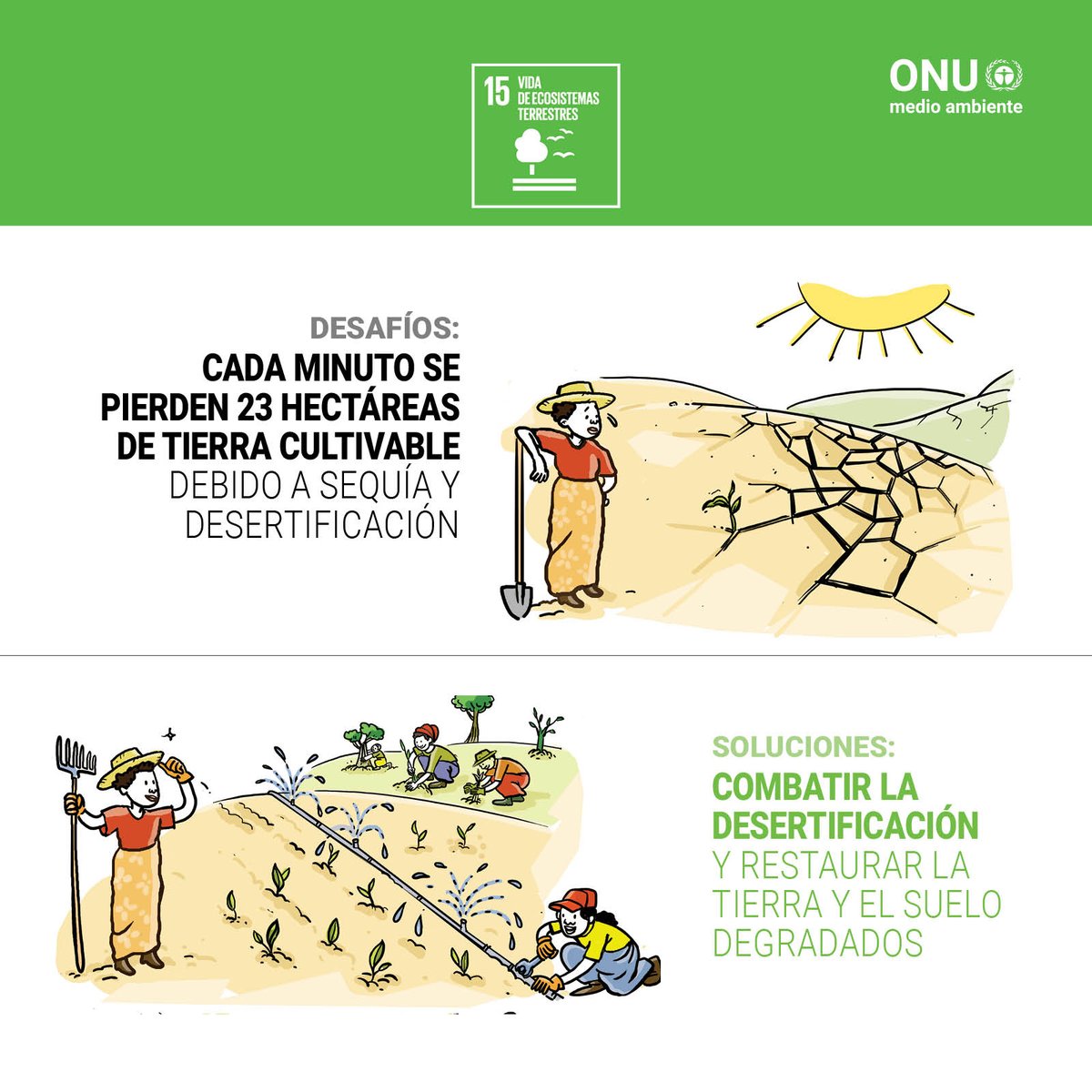 Programa ONU Medio Ambiente tweet media