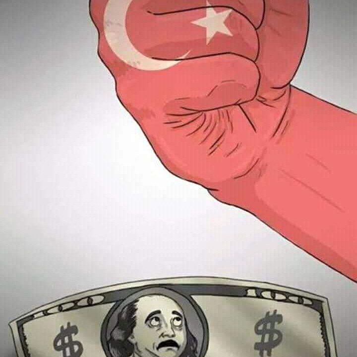 Recep Cayiroglu (@recepcayiroglu4) on Twitter photo 