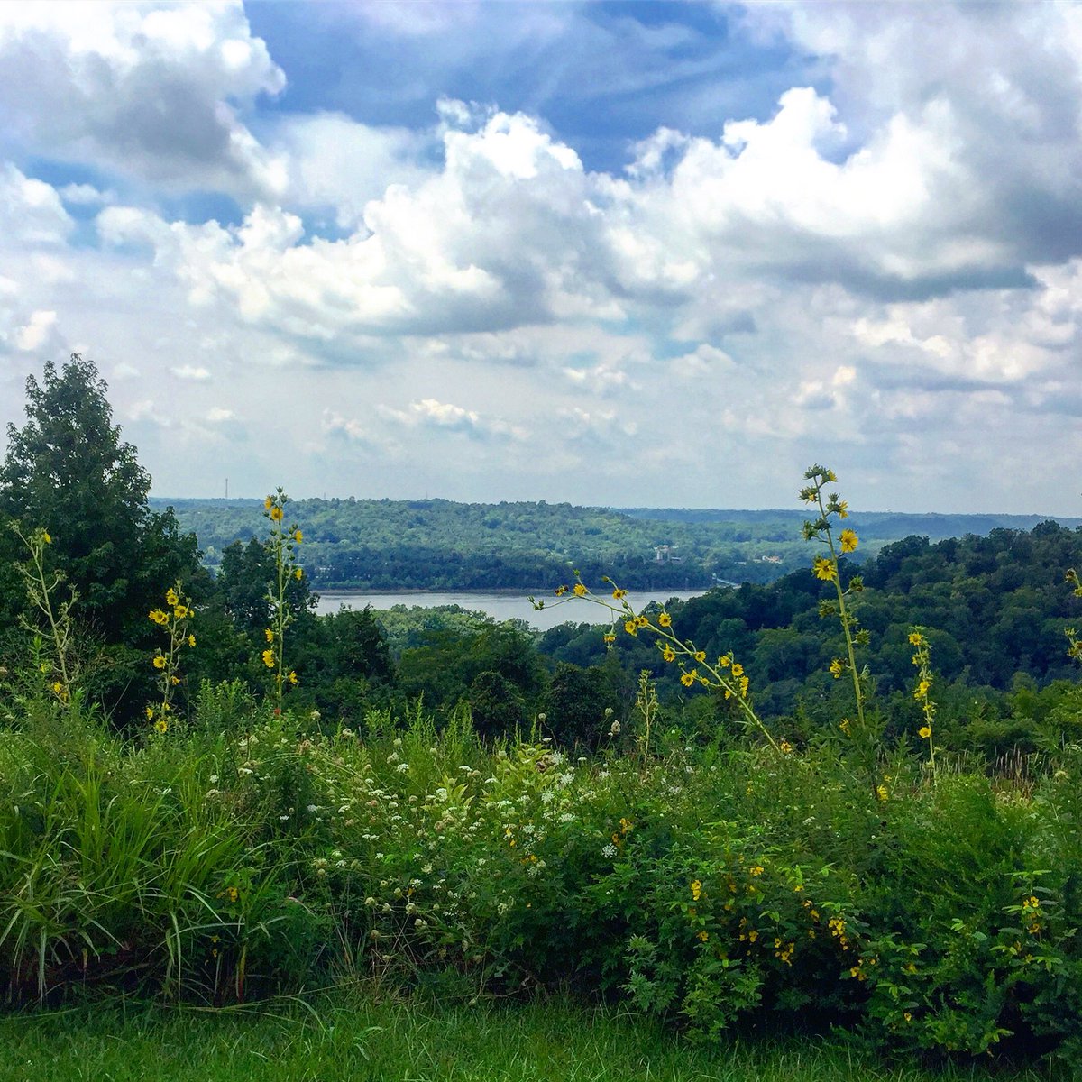 Taking in this gorgeous view of the Ohio River! @ClermontCounty @greatparks #ohio #cincinnati #amazingview #touristinmyowncity