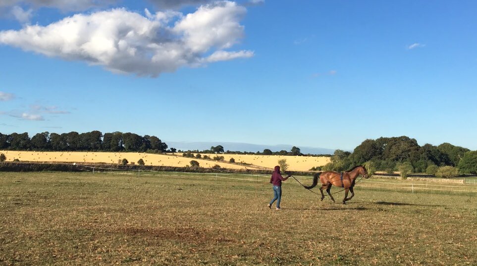 Kate_SPhysio's tweet photo. A different type of lunging this evening...#WeActiveChallenge #AHPsActive https://t.co/XzHQSa23qV