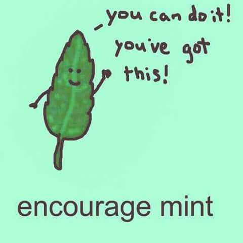 CompanyYolo's tweet photo. For anyone with #auditions or experiencing #firstnightnerves or in fact for anything u need. Here's some encourage-mint to help u #Believe ★ https://t.co/ktVnCdsZdQ