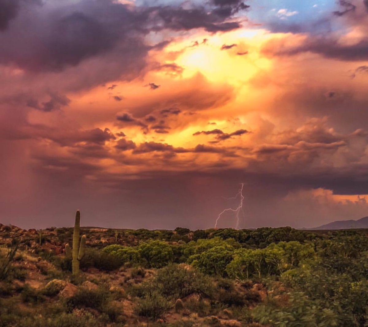 EdPierce25's tweet photo. #Arizona ~ the place for monsoons &amp; sunsets done right! 
• • • 
#monsoon #sunset #desert #realestate #realtor #homeforsale #tempe #phoenix #az #homesforsale #phoenixrealestate #househunting #relocation #arizonarealestate #chandler #scottsdale #ahwatukee https://t.co/t9XGJYFIiR