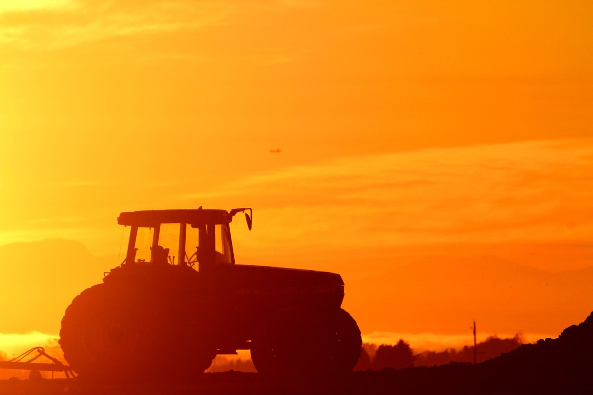 CityofDeltaBC's tweet image. Bring the whole family out to spend a #DayattheFarm on Saturday, September 8 from 10 am – 4 pm at Westham Island Herb Farm! Learn more: ow.ly/4KlJ30kIkZG #DeltaBC