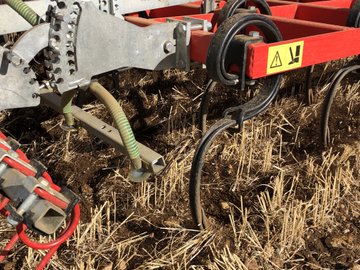 View image on Twitter