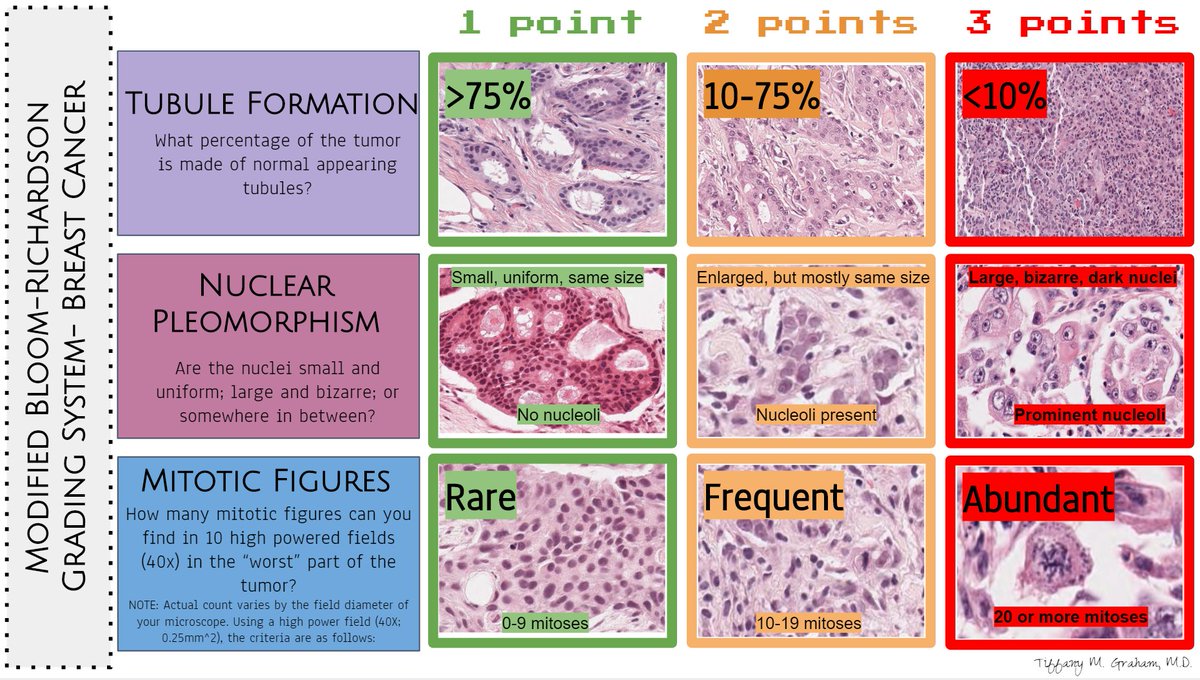 HeartPathology tweet picture