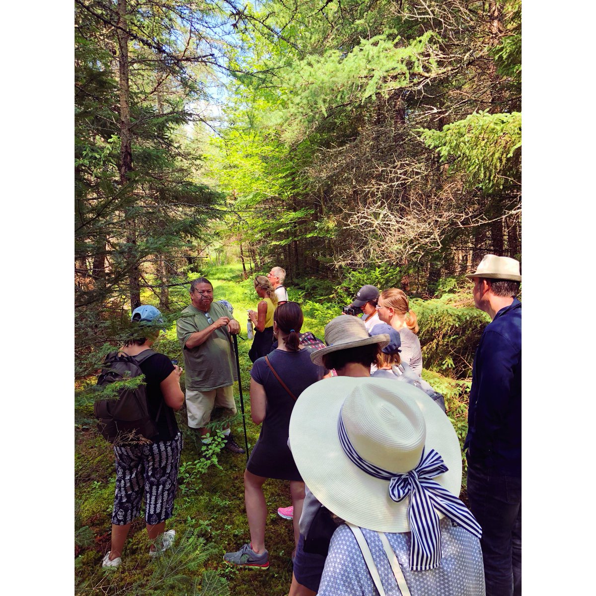 #AtlanticIMN Summer Institute attendees explored 30+ plants during a medicine walk with @tumayoung and Nick today! #EducationfromtheLand