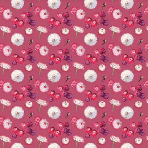 slinkeeedotcom's tweet photo. Hello #colour_collective. I created a #pattern from some photos I took of the beautiful flowers in #JesmondDene for this week using #seashell. Have a great weekend. #Surfacepattern #repeatpattern @Clr_Collective #illustration https://t.co/tVwbdSob4r