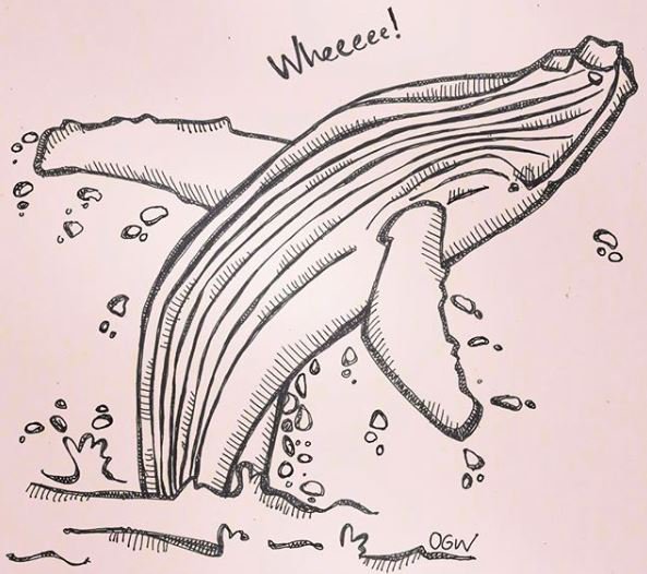 Breaching for the weekend. #FridayFeeling