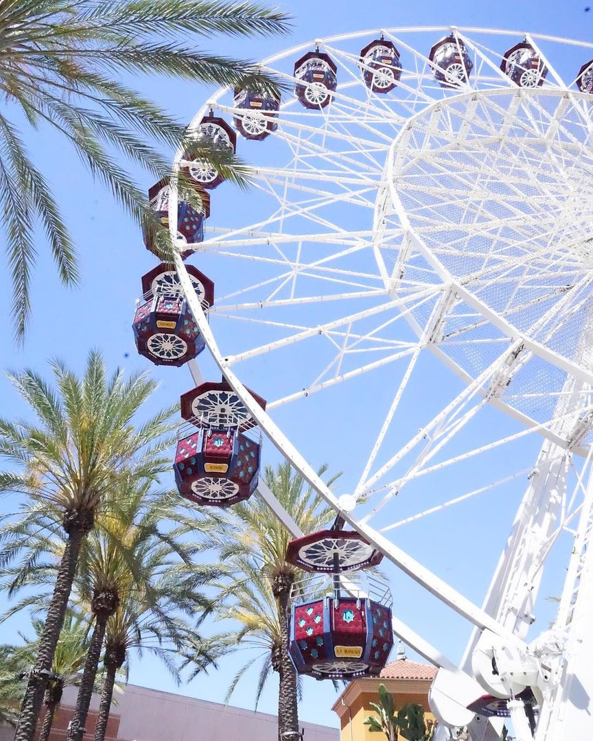 Visit The OC tweet media