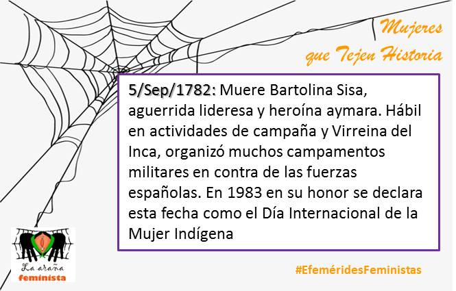 La Araña Feminista tweet media