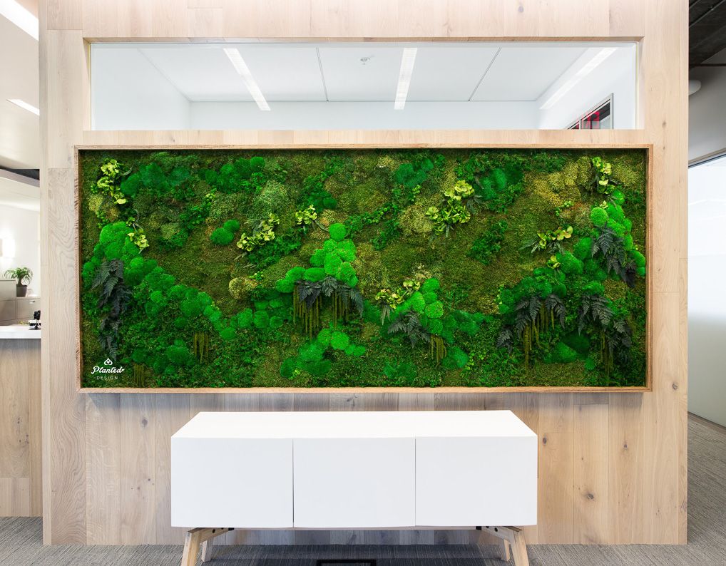 PlantedDesign's tweet photo. Ain’t no mountain high enough to keep me from loving this moss wall mimicking a natural ridgeline for our friends @ridgevc! #PlantedDesign #MossWall #MossWalls #Moss #MaintenanceFreeMoss #CustomMossWall #LivingWall #MossBoss #OfficeInspo #PlantMom #SanFrancisco #GreenOffice https://t.co/OJCl9uF7Qu