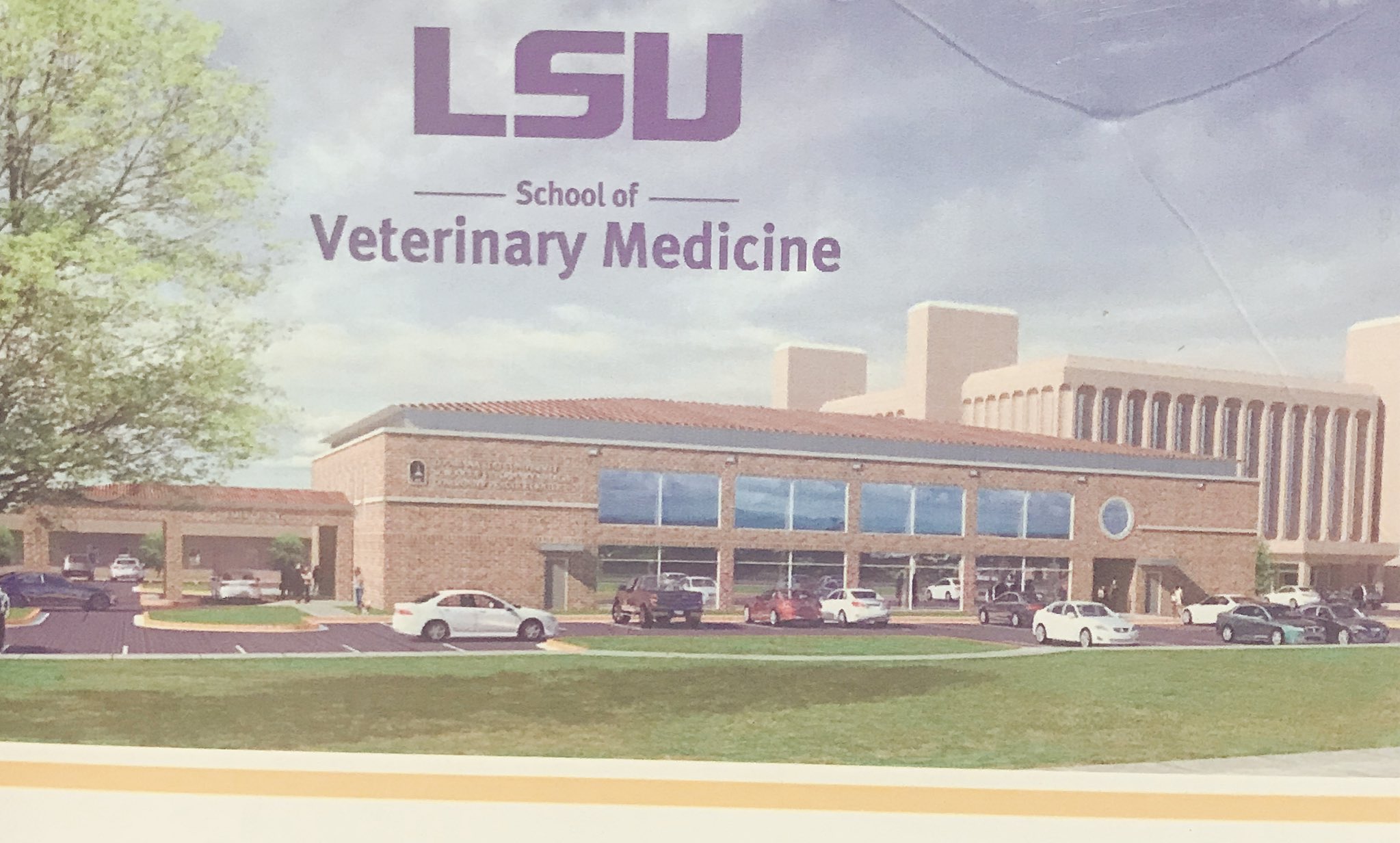 LSU Vet Med Dean on Twitter "Good news! 9000 sq foot Stephenson pet