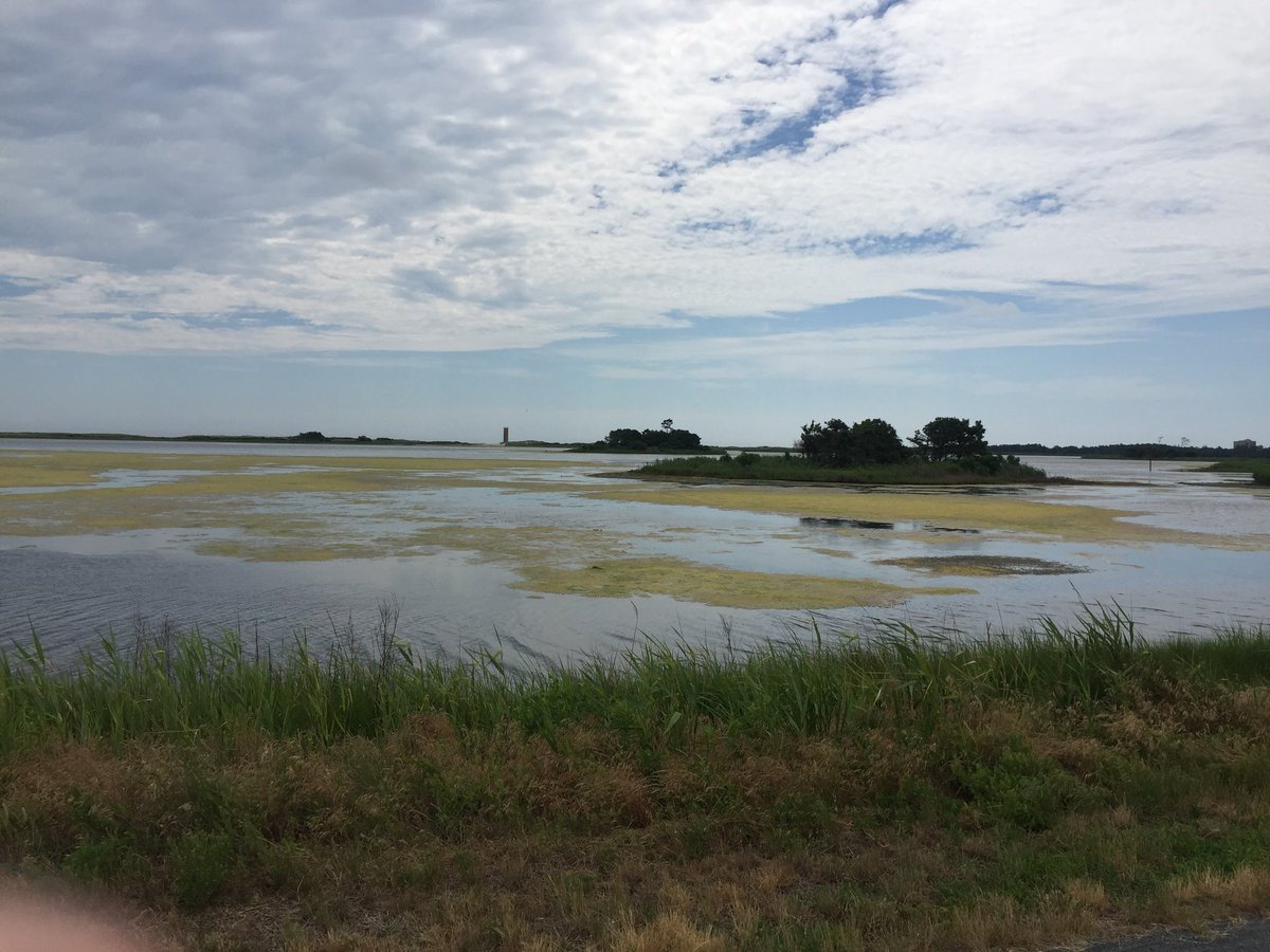 Switching gears to some east coast hiking. Cape henlopen state park has a great hiking trail by the beach and through marsh land! <a href="/VisitSouthDel/">Southern Delaware Tourism</a> #home #WeekendWanderlust #FridayFeeling
