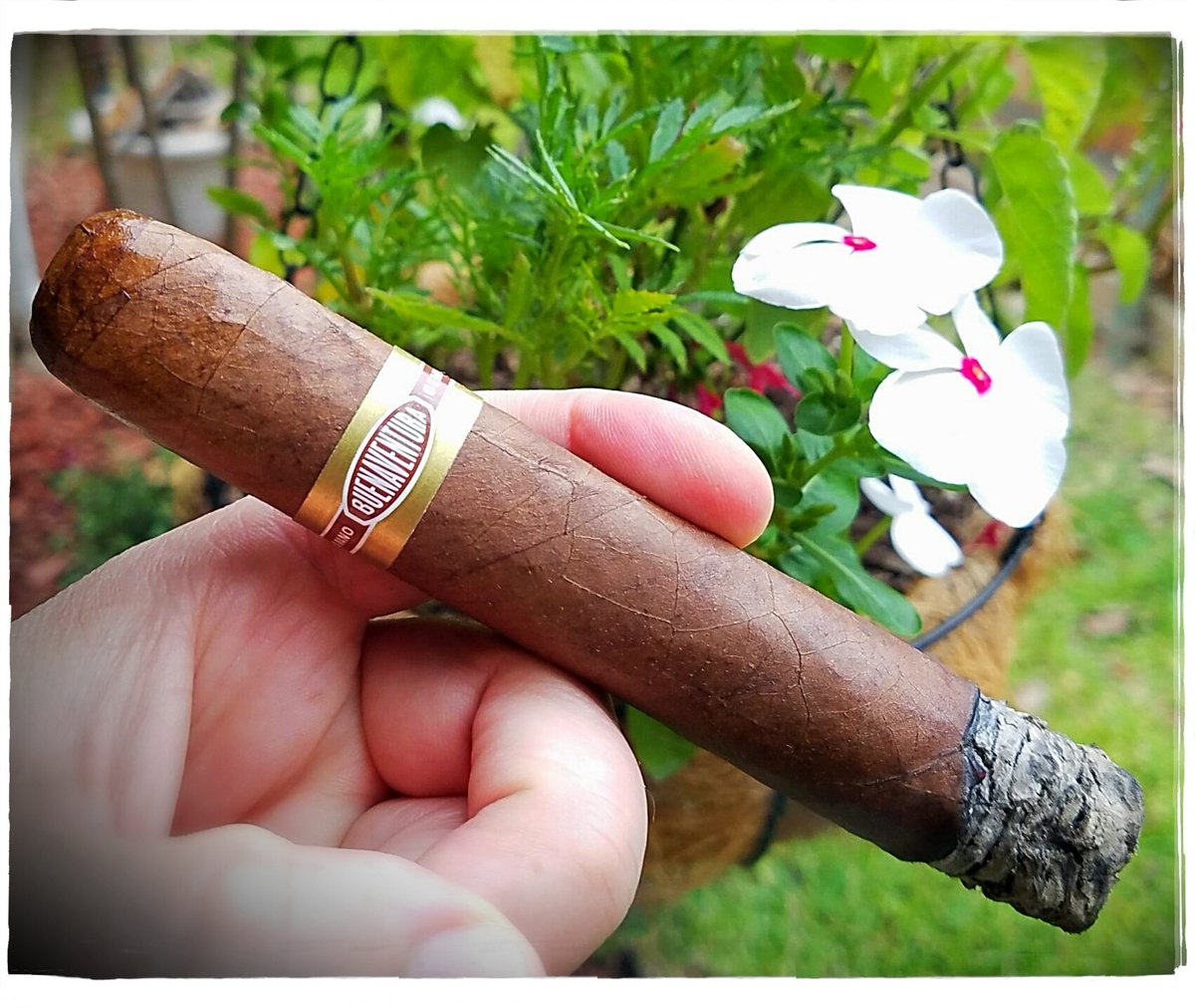 DRE_Go_Fish's tweet photo. Tonight's patio offering #cigartime #cigar #botltxchapter #botl https://t.co/u74Ckycdn7