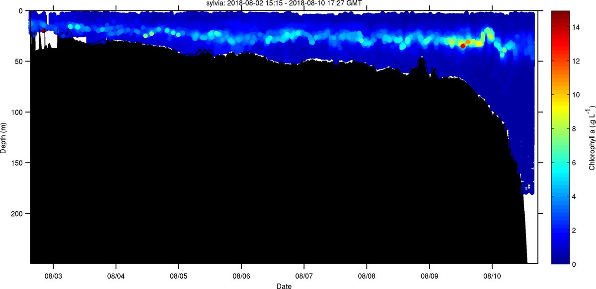 oceansensing's tweet photo. What does our coastal ocean look like to marine creatures? @VIMS_News #glider #Sylvia just completed a beautiful survey of the southern #MidAtlanticBight. Witness the intense #ColdPool, sharp #stratification, oscillating #InternalTides, and the #SalineIntrusions! #oceanography https://t.co/0wAhb1eO95