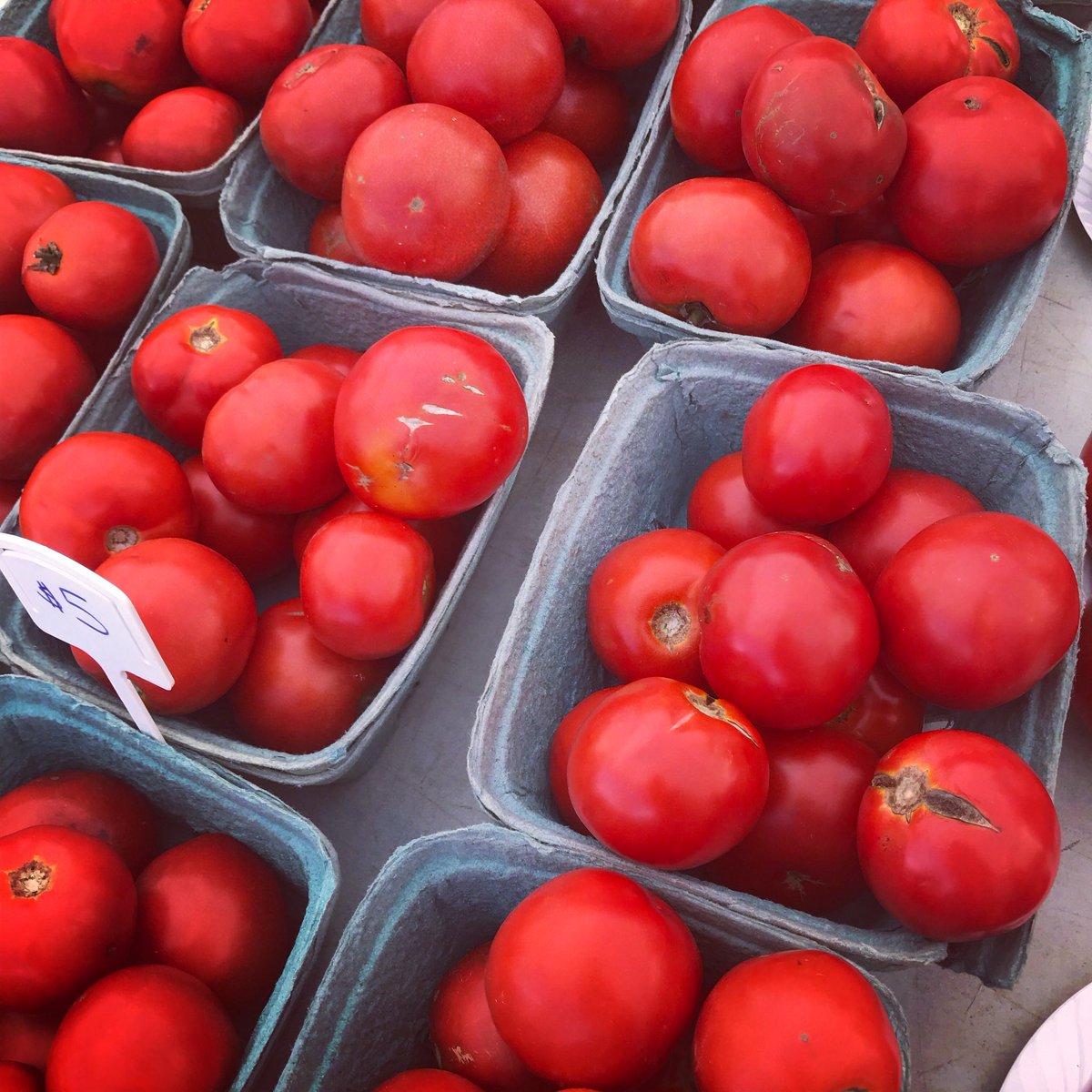 CurtsSpclRecipe's tweet photo. Just begging to jump into a jar of Curt’s.🍅 Salsa, ketchup, BBQ sauce, or Bloody Mary mix? What’s your favorite Special Recipe?
#curtspecialrecipe #salsa #ketchup #bbqsauce #bloodymarymix #harvest #tomatoes https://t.co/Bzyg2mO3wL