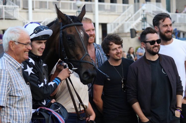 Miss us? We’re horsing away at some work but will be back with some BIG news soon, Tell us how much you miss us and we might tell you before everyone else🐴🐴🐴