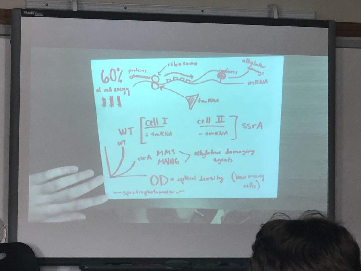 dana_madden04's tweet photo. Informative student presentations today #chelseacenter #summerisalmostover #learningneverstops #wgbuzz https://t.co/CzRoZNHt65