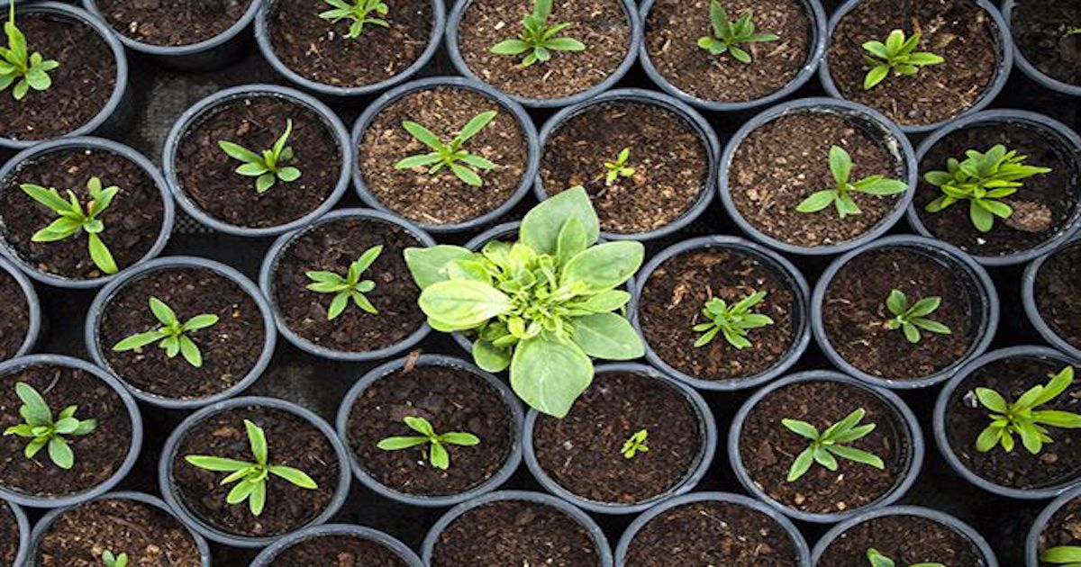 News about <a href="/Disney/">Disney</a> <a href="/pepsi/">Pepsi</a>, vacations, emotional intelligence and how to nail the #job interview all in this week in #leadership news  KrnFy.bz/hfAC30llxwz