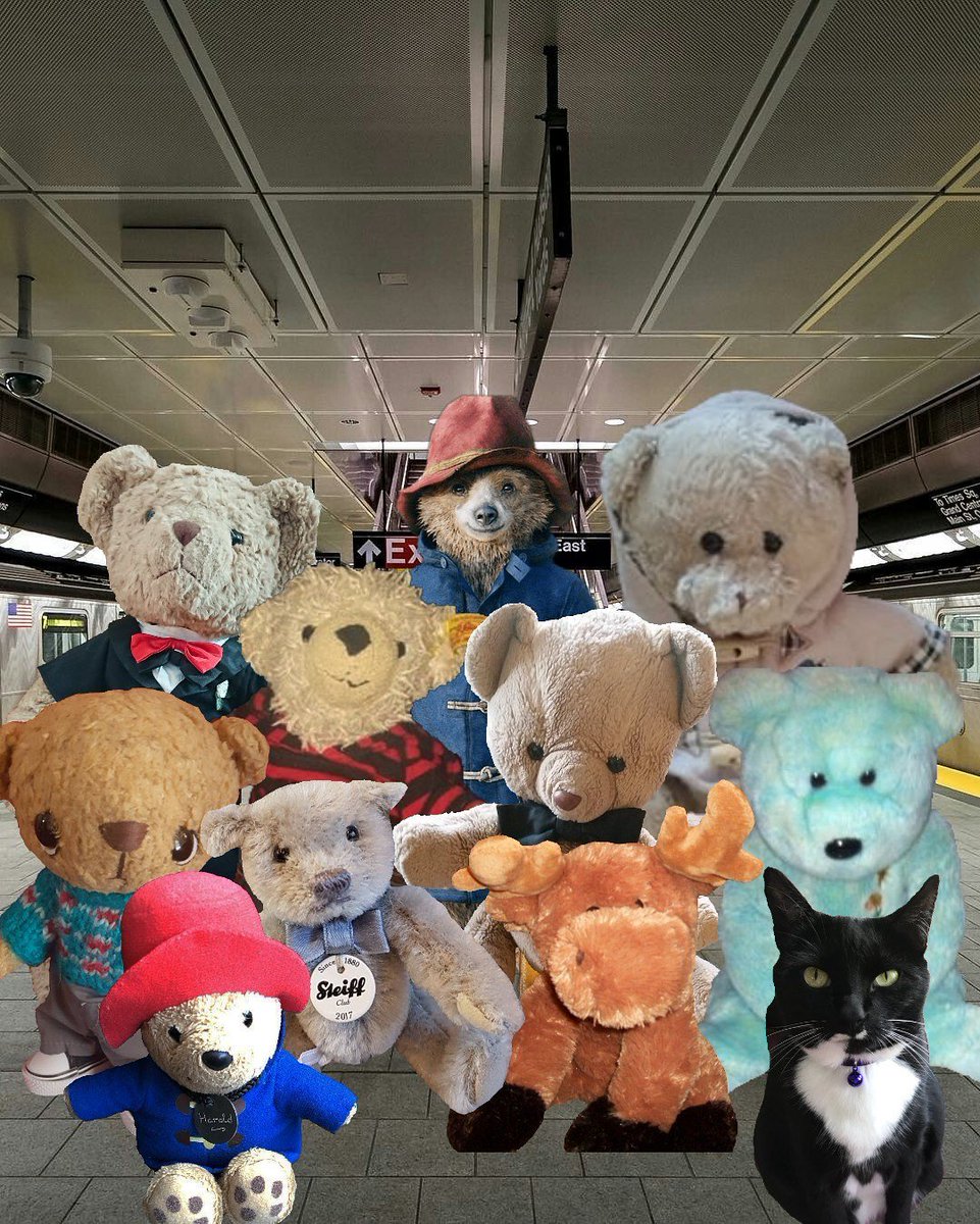 TheHugHouse's tweet photo. I am redoing my #BearWeek entries. I forgot a hashtag before. Here is my entry for #BearWeekFriends. Here I am with my best friends when we met Paddington Brown. @bearbarnaby77 @oliver_bear @ArchieTinyBear @Bumble300 @codyeliastower @paddingtonbond @Cleo_sMommy @TeddysFamiwy https://t.co/TOkQUipCxF