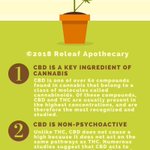 Image for the Tweet beginning: #cbd #cbdoil #buycbdoil #cannabis #cannabiscommunity