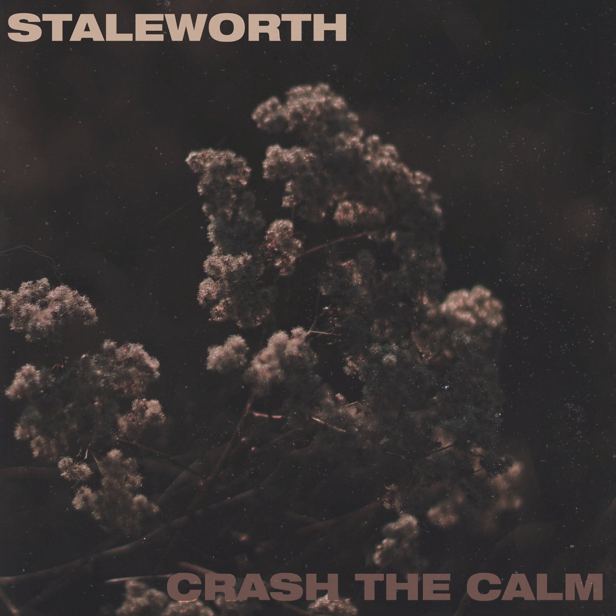 🚨🚨🚨 NEW <a href="/Staleworth_/">Staleworth</a> / @crashthecalm Split EP coming out tomorrow!

Pre-save it on <a href="/Spotify/">Spotify</a> to be the first to hear it: geni.us/splitspotify