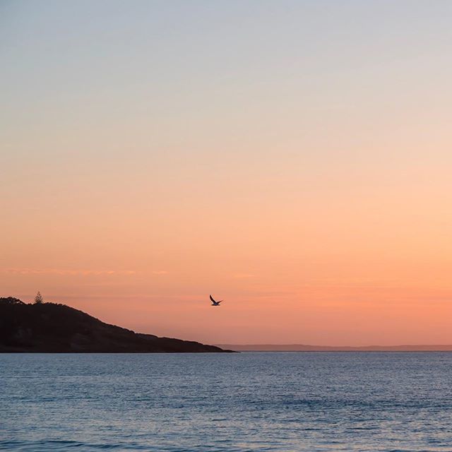 _fran_t's tweet photo. Weekends are for breakfast in bed and exploring. What are you up to this weekend?
.
.
.
.
#mollymook #mollymookbeach #visitshoalhaven #wintergetaway #newsouthwales #visitnsw #unspoilt #shoalhaven #southcoastnsw #bestplacestogo #welivetoexplore #letsgoe… https://t.co/DSAn9JuQTP https://t.co/mjrkdEwf9Z