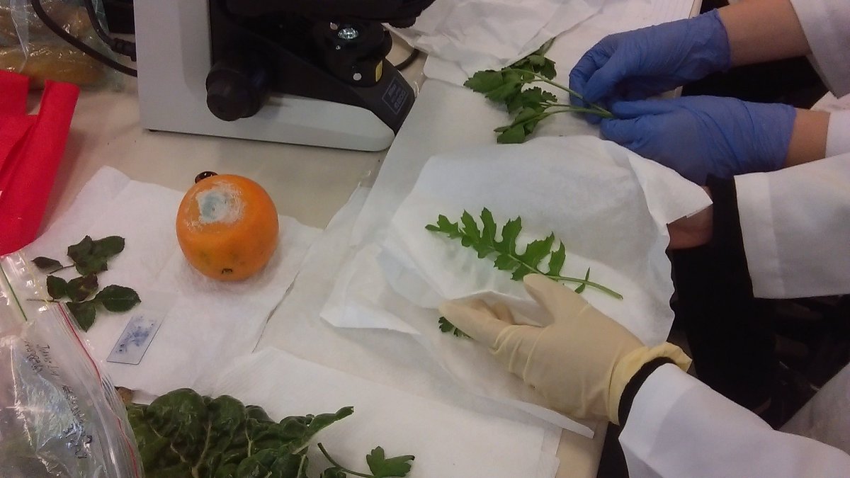 Anthony Young tweet media