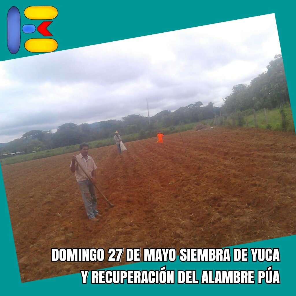 LicdosO tweet picture