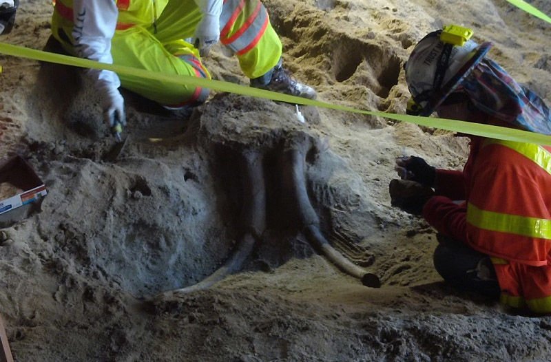 tyfraley's tweet image. The past came back to life. #construction #treasure  cpix.me/a/52382753