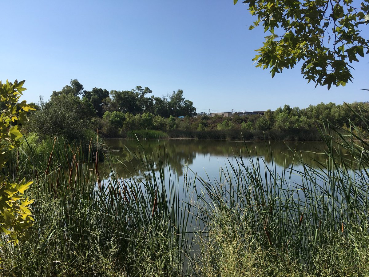 projectswell's tweet photo. #NGSS teacher training with @EarlyImplement @LakesideNGSS &amp; @hightechhigh! #5thNGSS #watershedhealth #SanDiegoRiver #citizenscience #WaterQuality #MonitorWater #HumanImpacts https://t.co/8ucLcXUWUw