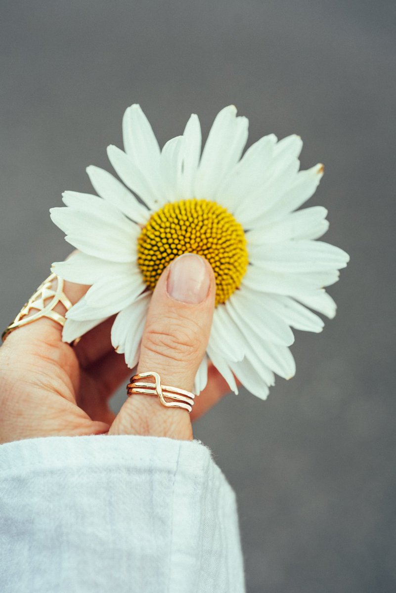 getglee's tweet photo. Fresh as a Daisy 🌼
Toronto Gift Fair starts in 2 days!!! Come see the fresh New Fall Collection
@CanGift #cangift #togiftfair #getglee #gleejewelry #rings #daisy #fresh #style #simplicity #minimal https://t.co/AeflOj01SP