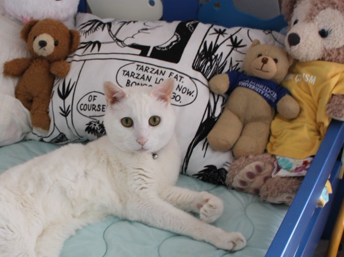 Twitterのコスプレ画像24