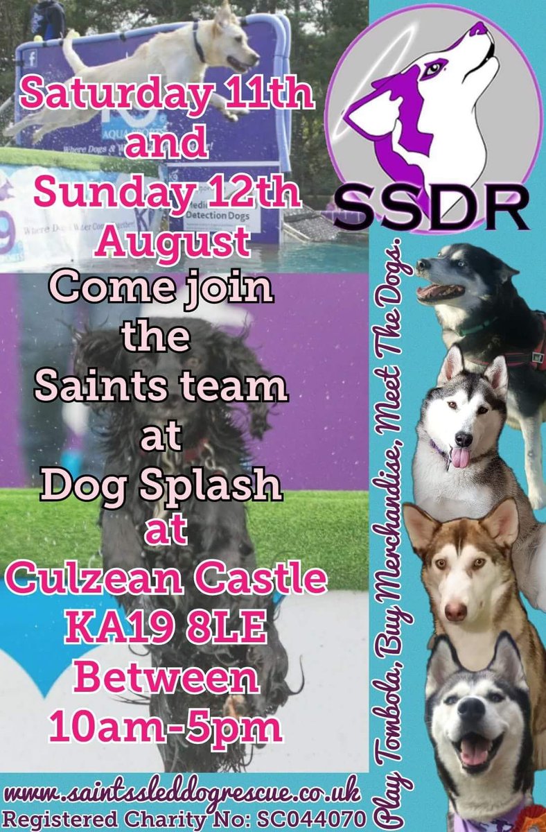 JohnstoneRowena's tweet photo. Lots of Dogs and lots of fun. Why dont you join us? @SaintsSledDogs have a stall on both days 💜#culzeancastle #dogsoftwitter #dogsplash https://t.co/6rwMg8YoEh