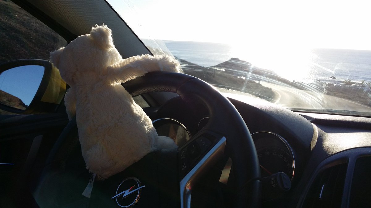brombelbeer1's tweet photo. Knut driving on Lanzarote #BearWeek #BearWeekTravel https://t.co/ytQnU7f6uM