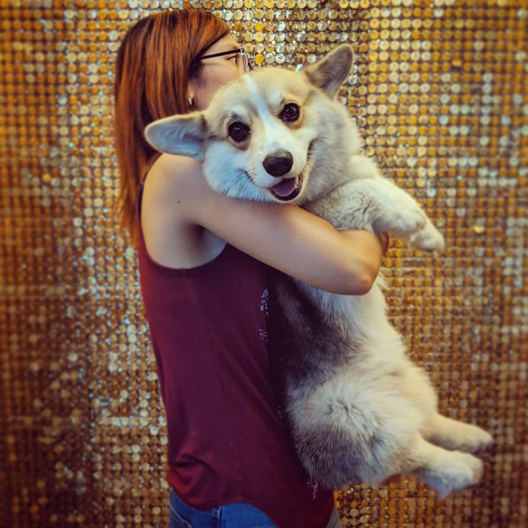 itsthegustaff's tweet photo. Best part about having stubs? Getting carried to see my sausage feets π. Happy #friyay everyone π
.
.
.
#itsthegustaff #gettingheavy #thankgustaffitsfriday #tgif https://t.co/5k4dL7U4lN