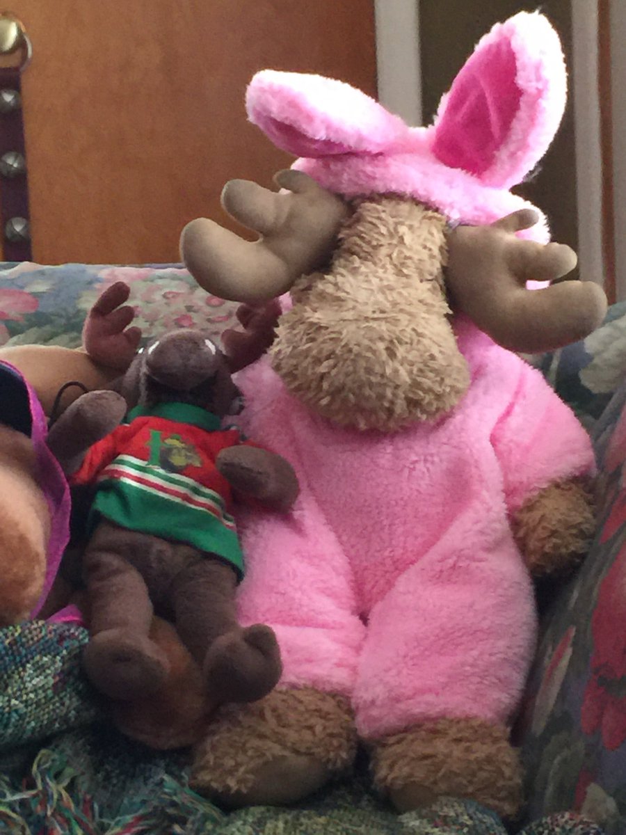 MoosieCozy's tweet photo. #BearWeekFriends #BearWeekFashion Me and my buddy Mac. https://t.co/DtiJ2MTEuw