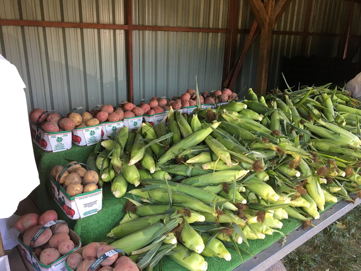 The perfect match—Holzworth Sweet Corn and Harwill Potatoes! Come get some at Holzworth’s Farms’ stand