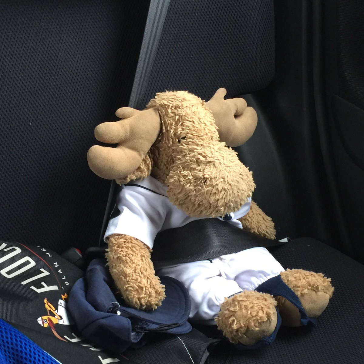 MoosieCozy's tweet photo. #BearWeekTravel on my way. https://t.co/mkJU5jw4vg