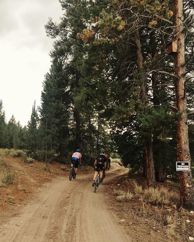 Rodeo Adventure Labs tweet media