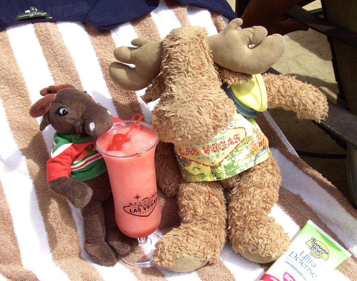 MoosieCozy's tweet photo. #BearWeekFriends #BearWeekTravel https://t.co/UtAoSOSbNY