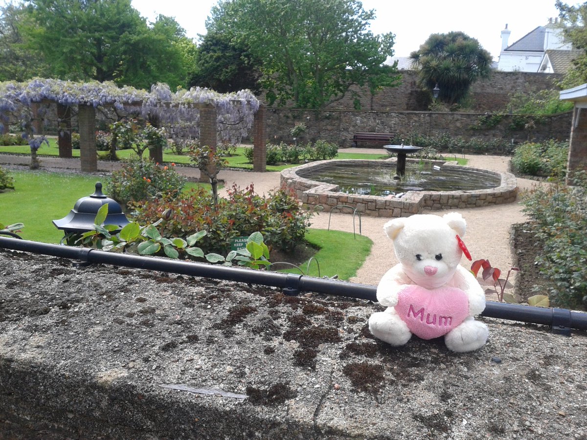 mousechips68's tweet photo. #BearWeekTravel We love to @VisitJerseyCI especially when the weather is warm and sunny ππ https://t.co/0VAV9JyYGc