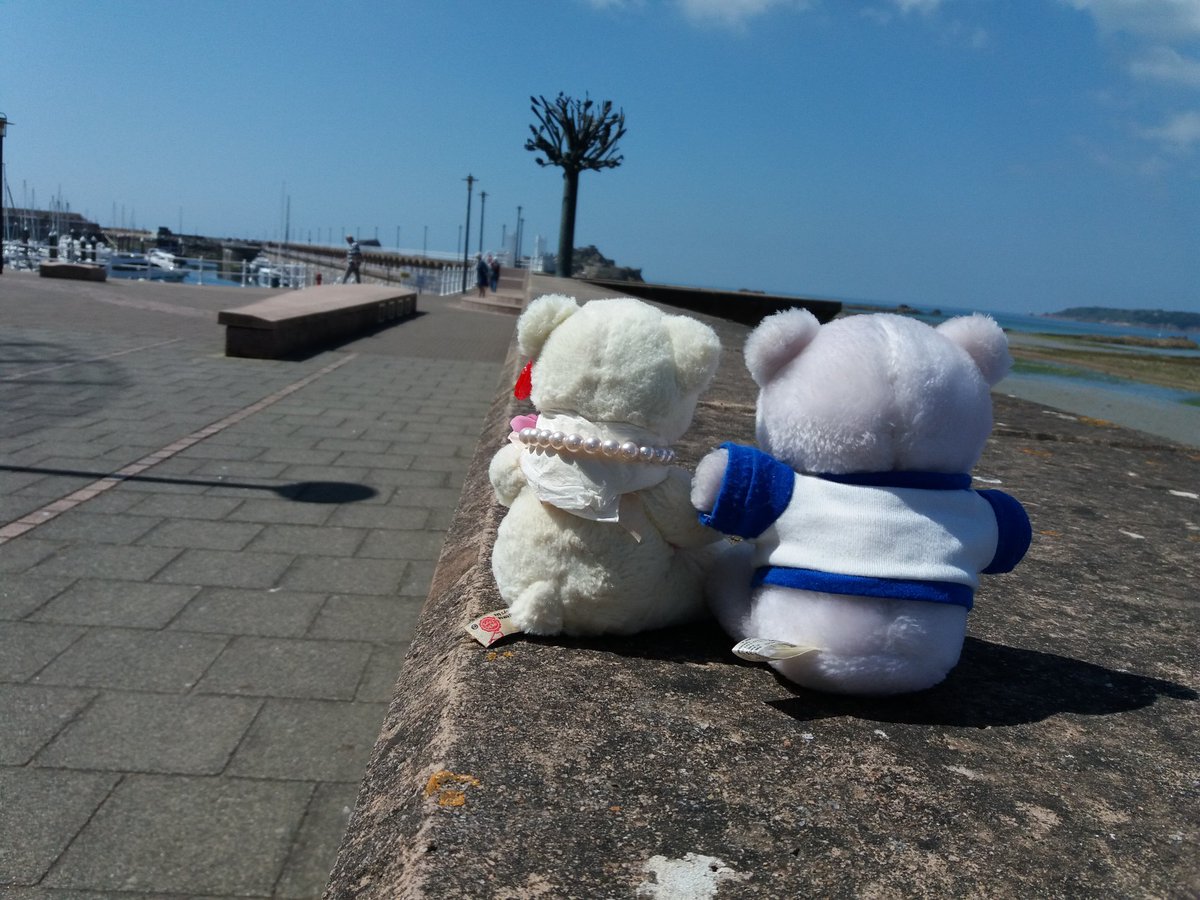 mousechips68's tweet photo. #BearWeekTravel We love to @VisitJerseyCI especially when the weather is warm and sunny ππ https://t.co/0VAV9JyYGc