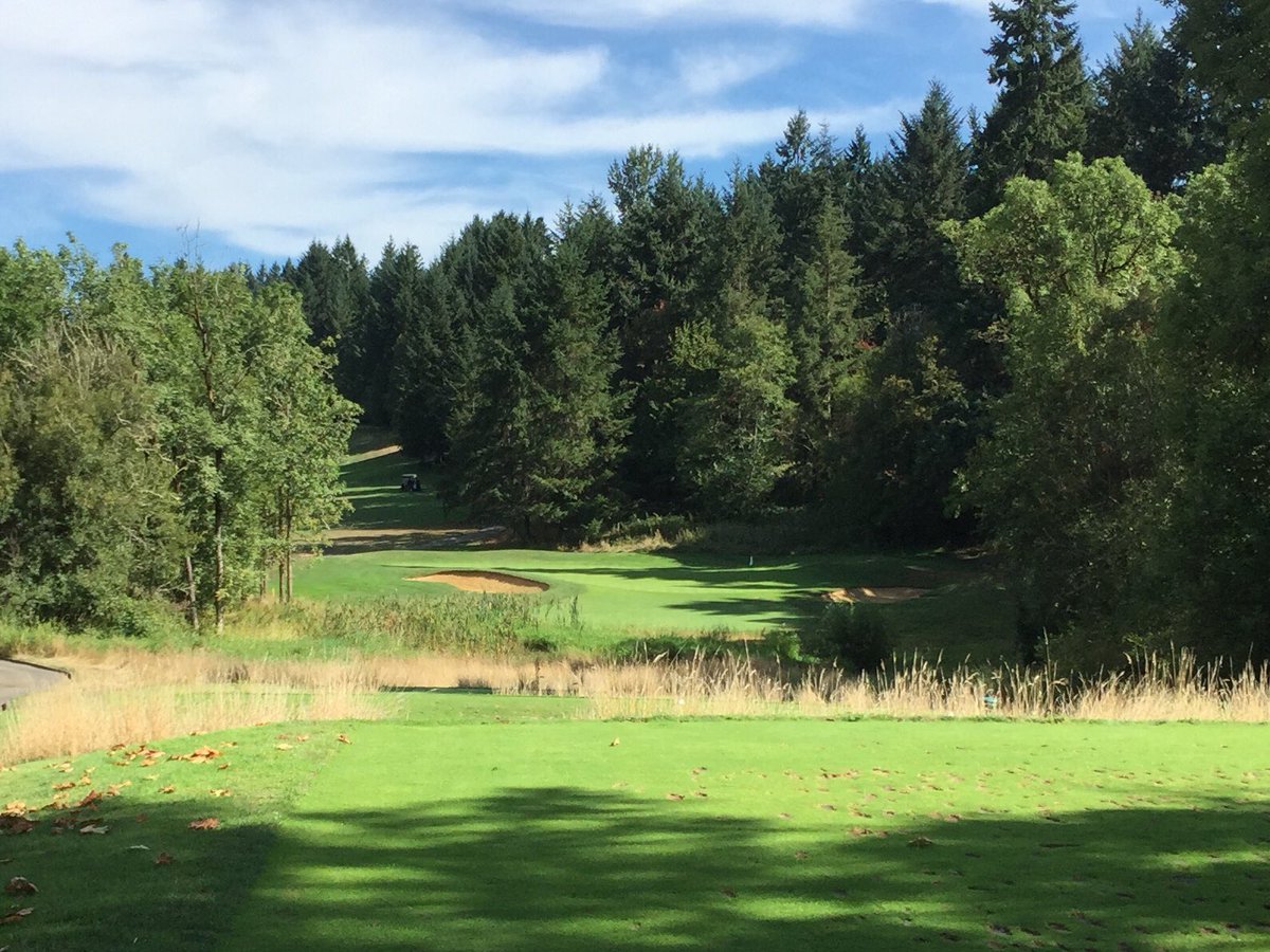 auribe714's tweet photo. #flashbackfriday 2015 Proper planning allowed us to add another Top 100 Public course to our trip- the lovely orange sands at @PumpkinRidgeGC - #GhostCreek. #BandonWeek #ContestWinner
Sponsors: @golfgalaxy @golfpride @globalgolfpost https://t.co/RTk3PQdL8N
