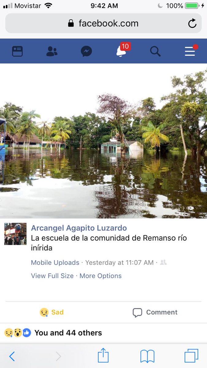 MissDislexia's tweet photo. #COLOMBIA #EMERGENCIA #PTOINIRIDA En lugares del Vichada los indígenas están durmiendo en canoas porque no tienen lugares secos. Si quieren mandar comida no perecedera, ropa, mantas, las estamos reuniendo en Btá: Av 82 no 7-22 of 204 hasta el próximo martes 14 de agosto. FAV. RT https://t.co/VkizYb4JRV