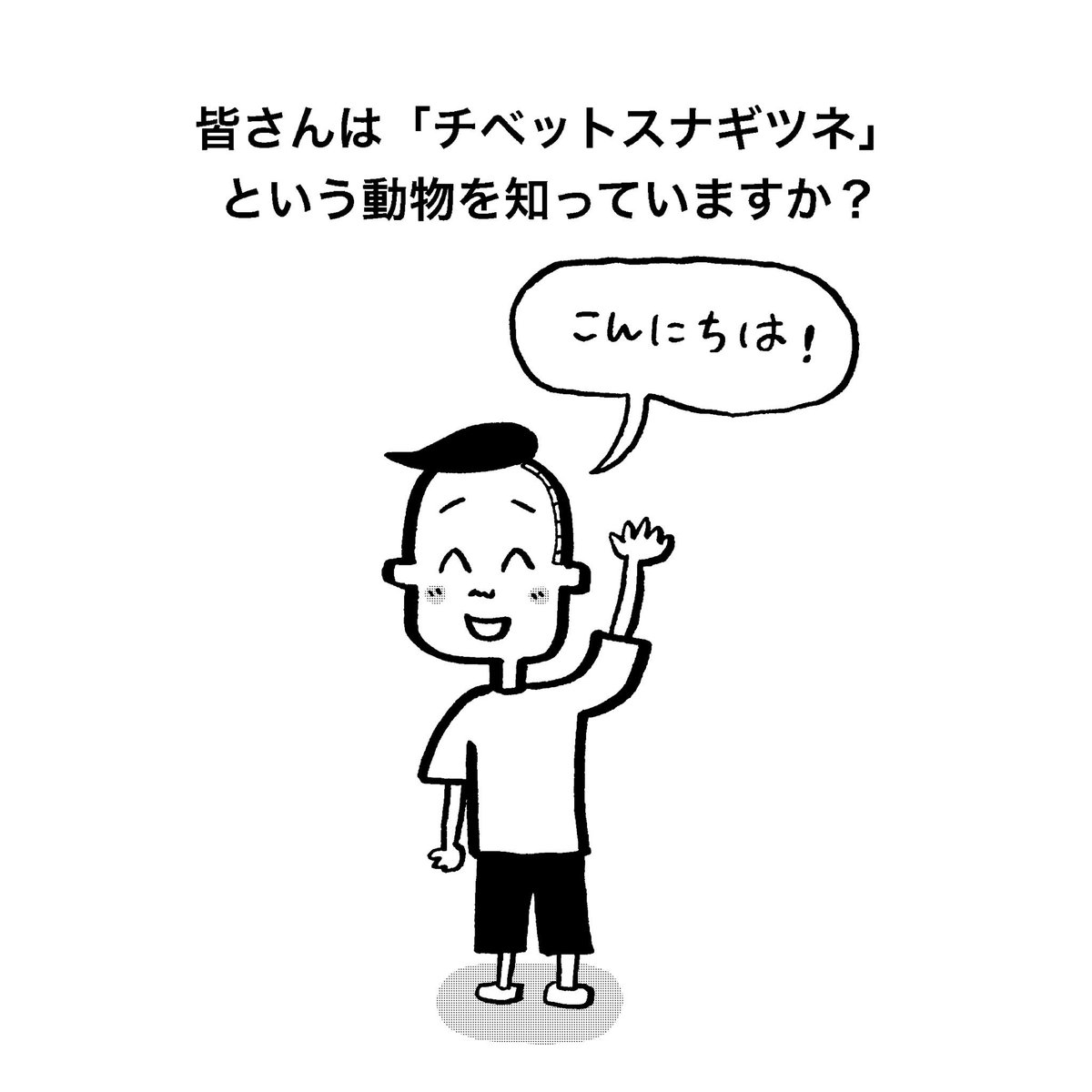 中山少年 Twitter પર やる気のない動物 チベットスナギツネ その2 漫画 チベットスナギツネ 癒し おすすめ